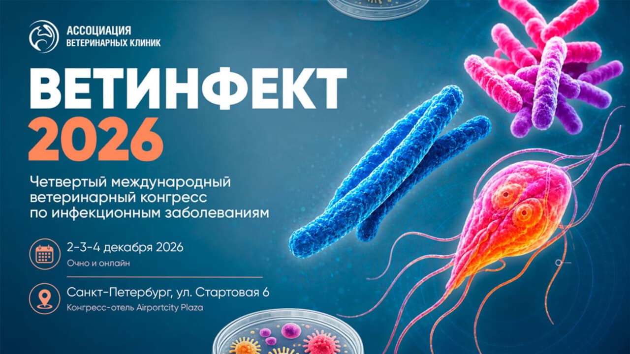 ВЕТИНФЕКТ 2026. Четвертый международный ветеринарный конгресс по инфекционным заболеваниям