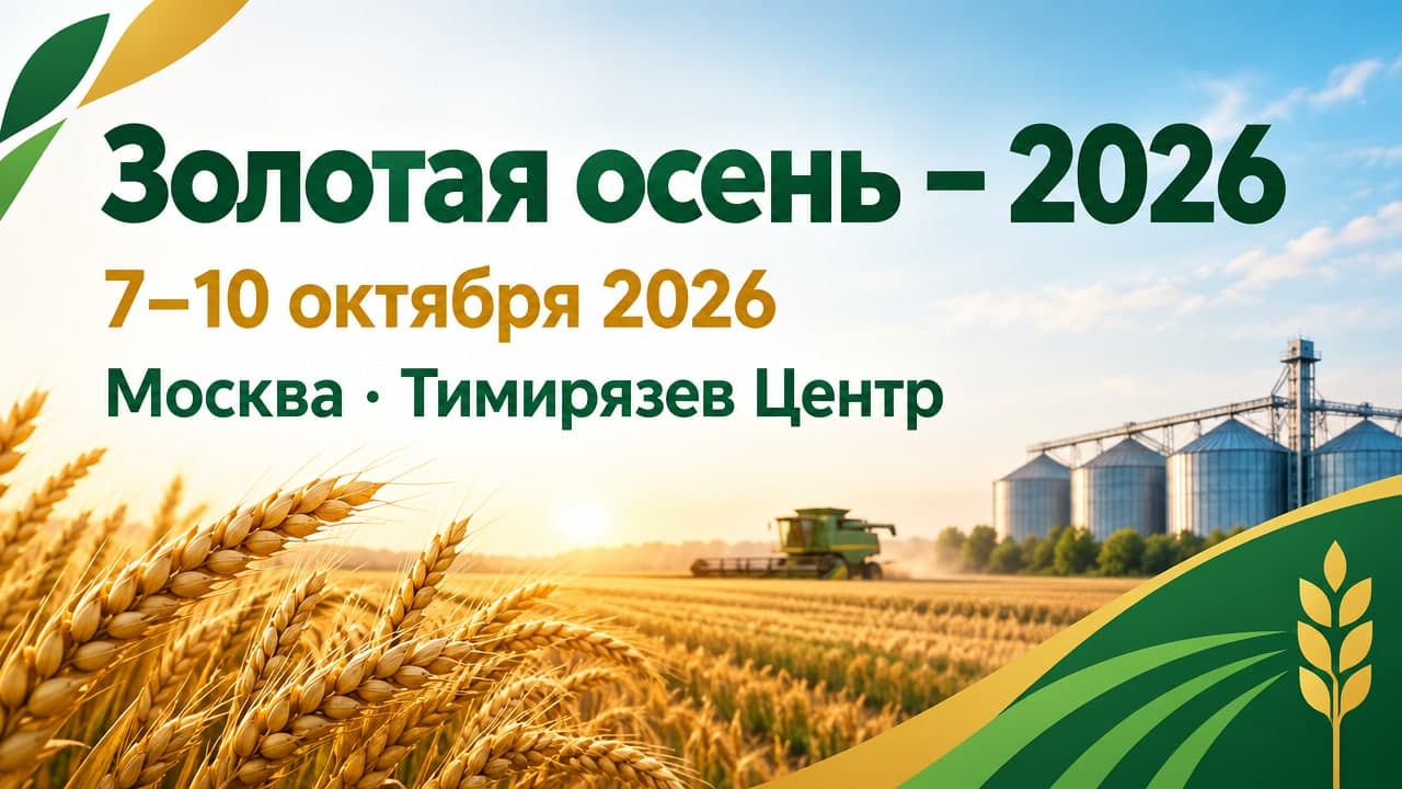 Золотая осень – 2026